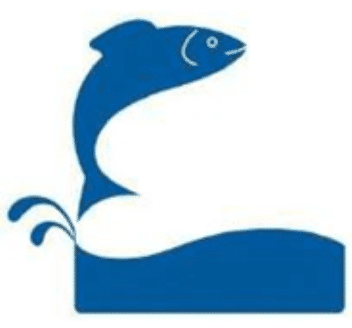 fish icon